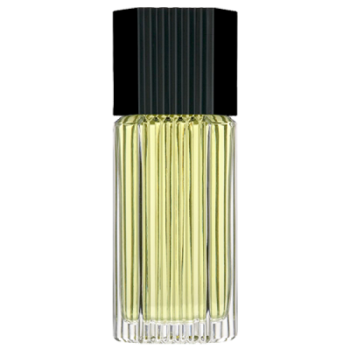 Duis aute irure dolor